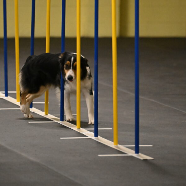 Lovey-Dovey-Shipman-09694