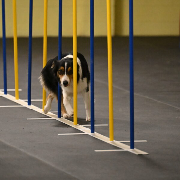 Lovey-Dovey-Shipman-09696