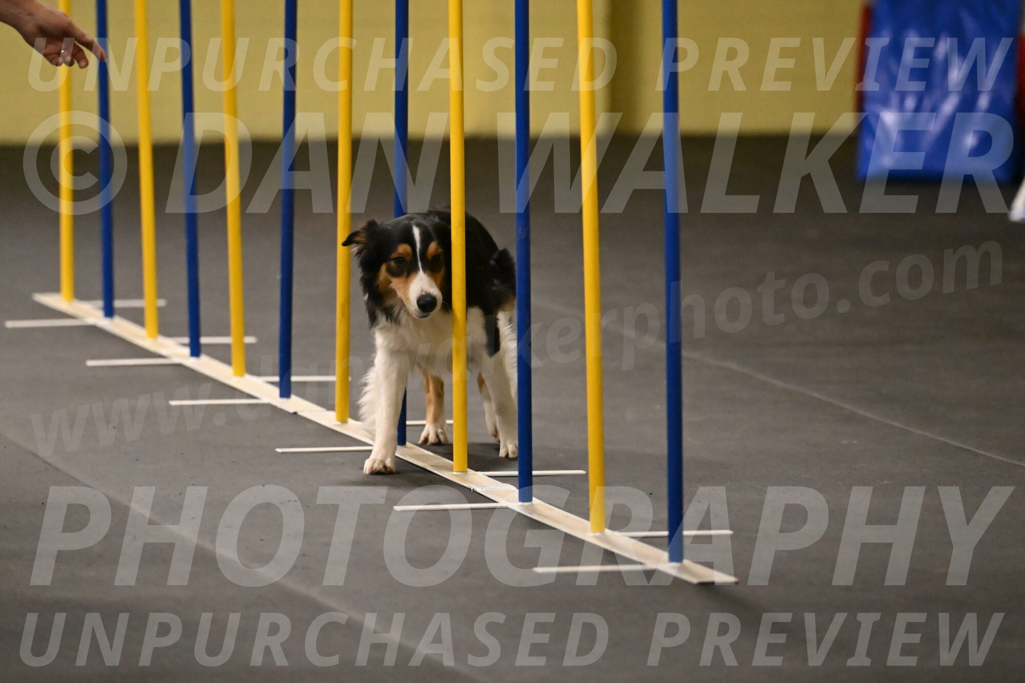 Lovey-Dovey-Shipman-09697