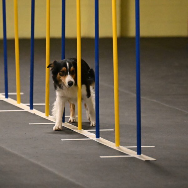 Lovey-Dovey-Shipman-09697