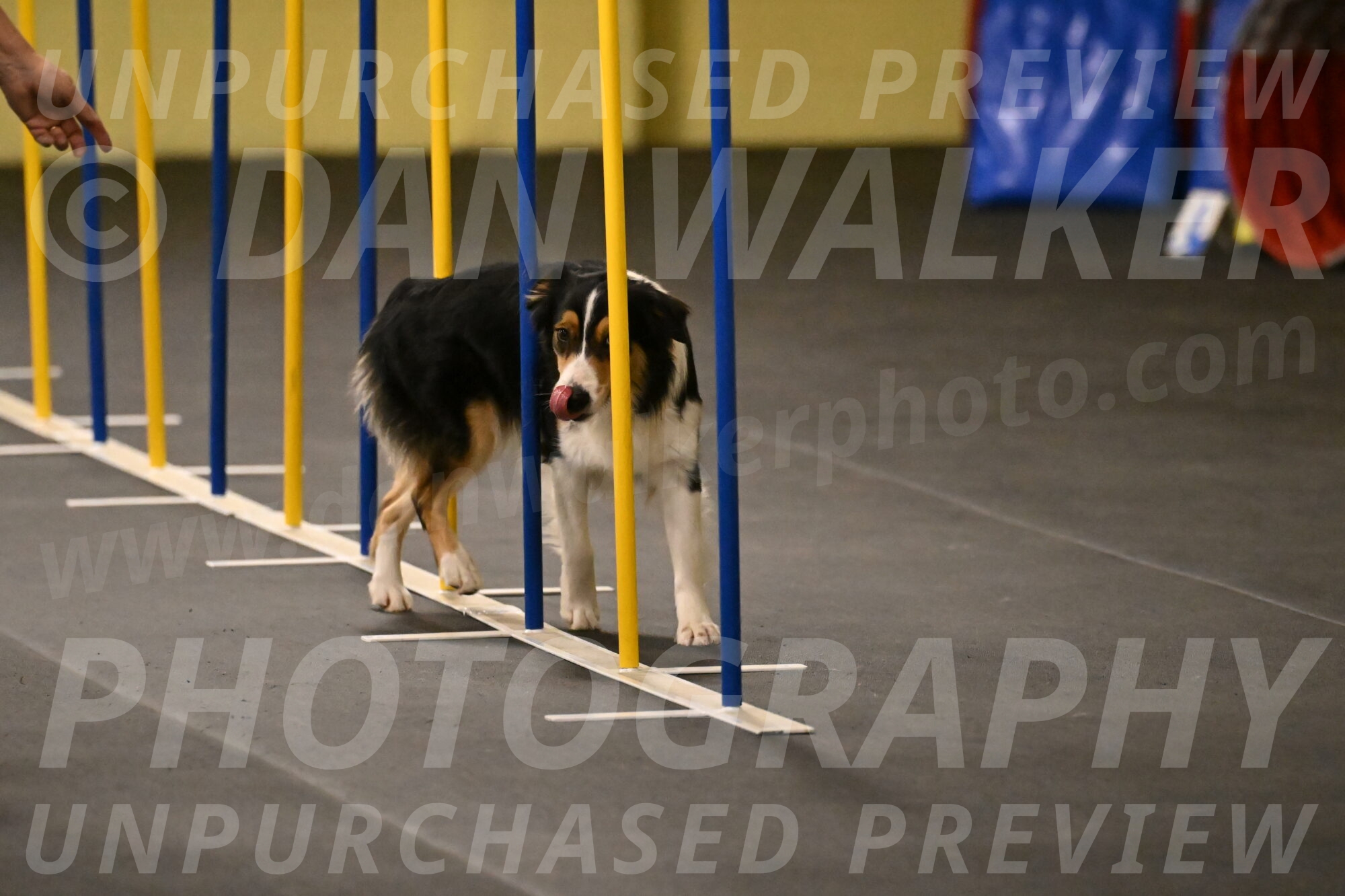 Lovey-Dovey-Shipman-09707