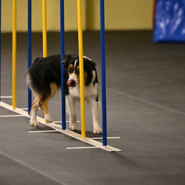 Lovey-Dovey-Shipman-09707