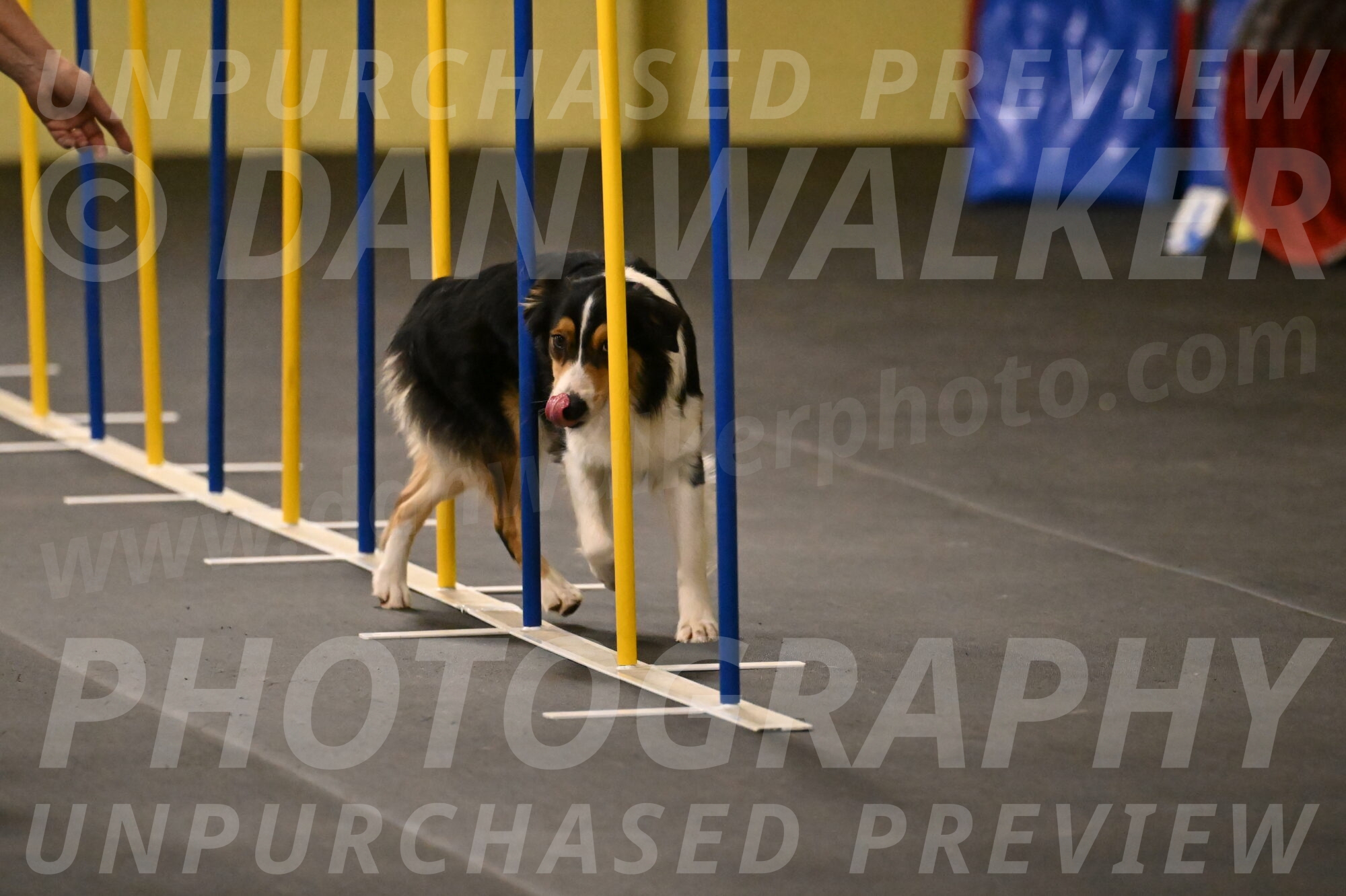 Lovey-Dovey-Shipman-09708