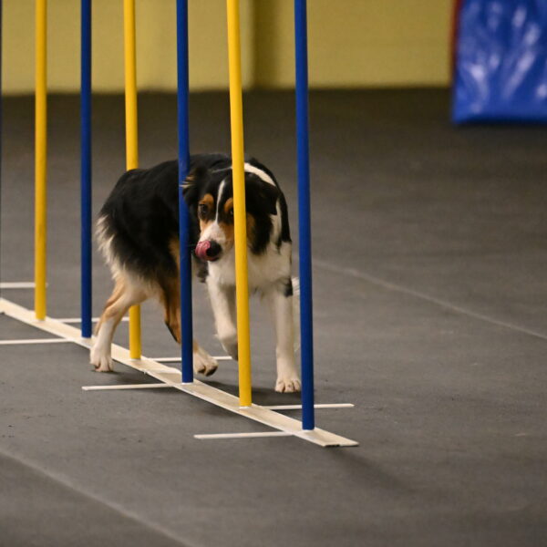 Lovey-Dovey-Shipman-09708