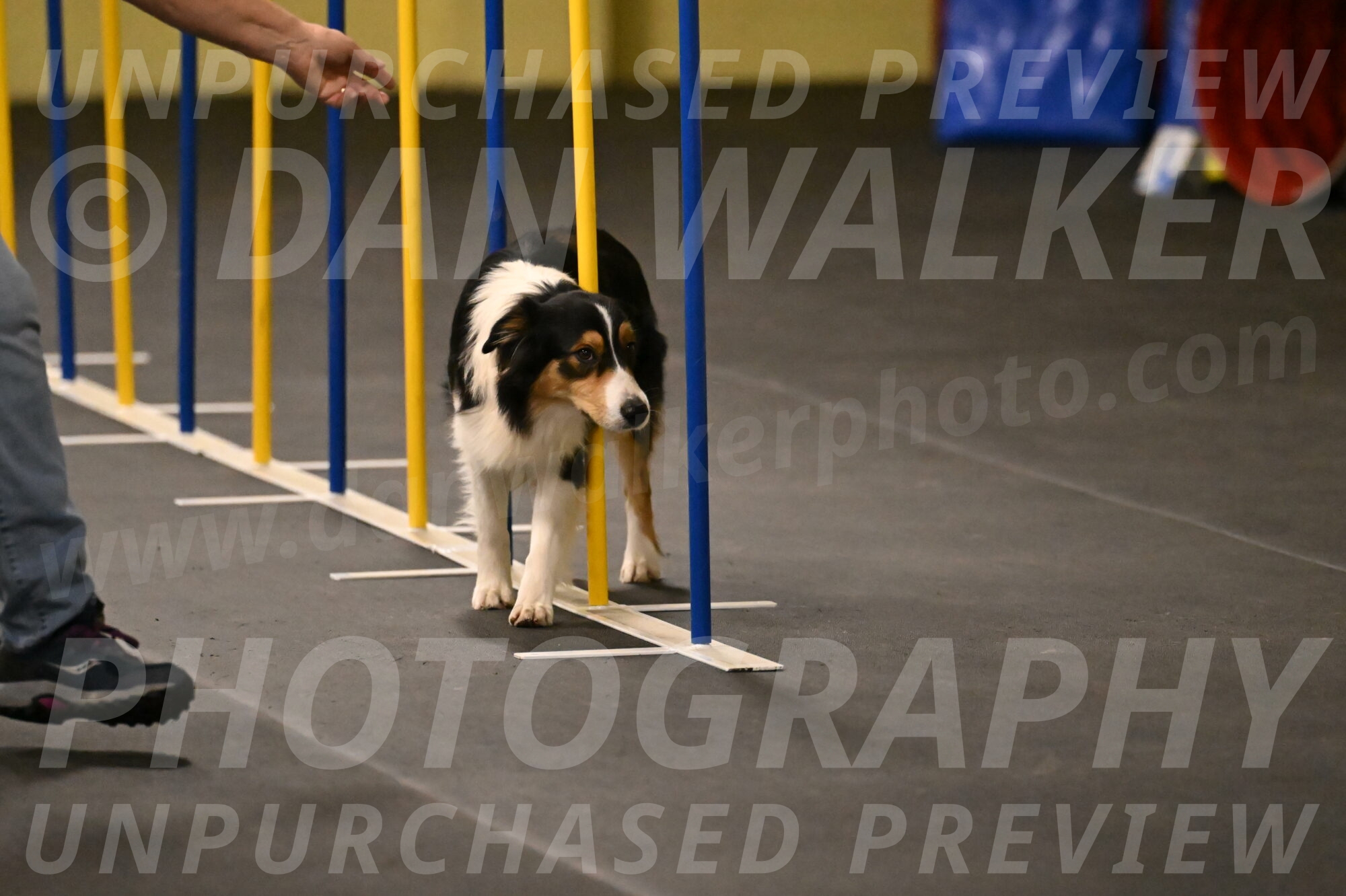 Lovey-Dovey-Shipman-09714