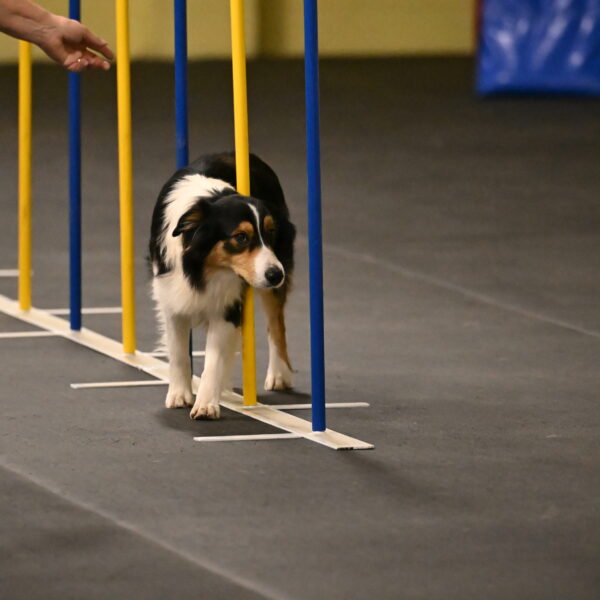 Lovey-Dovey-Shipman-09714