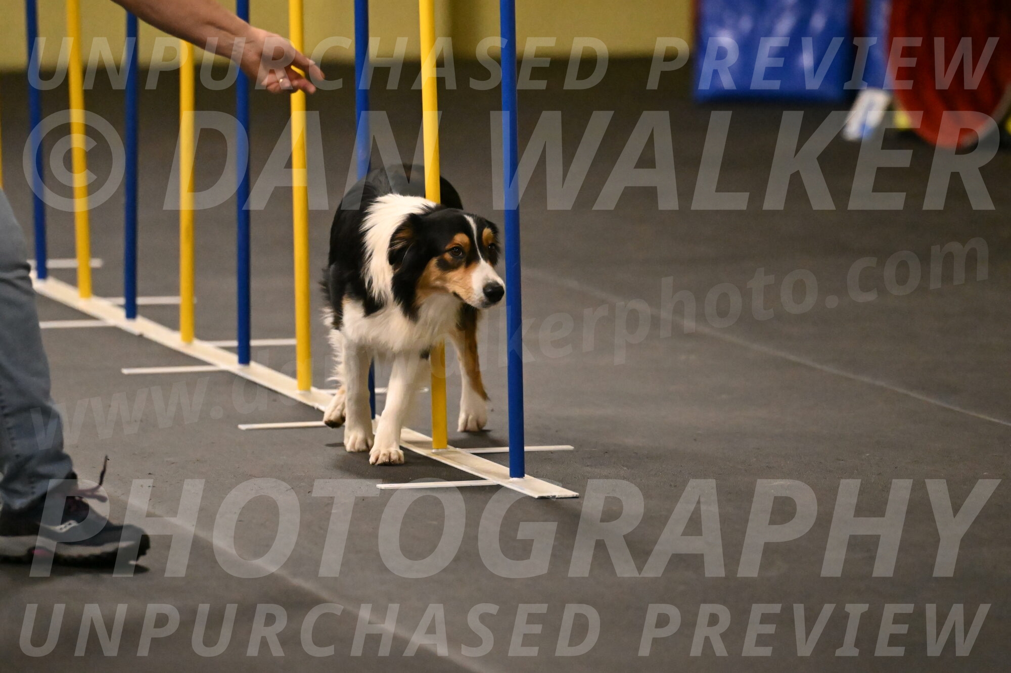 Lovey-Dovey-Shipman-09715