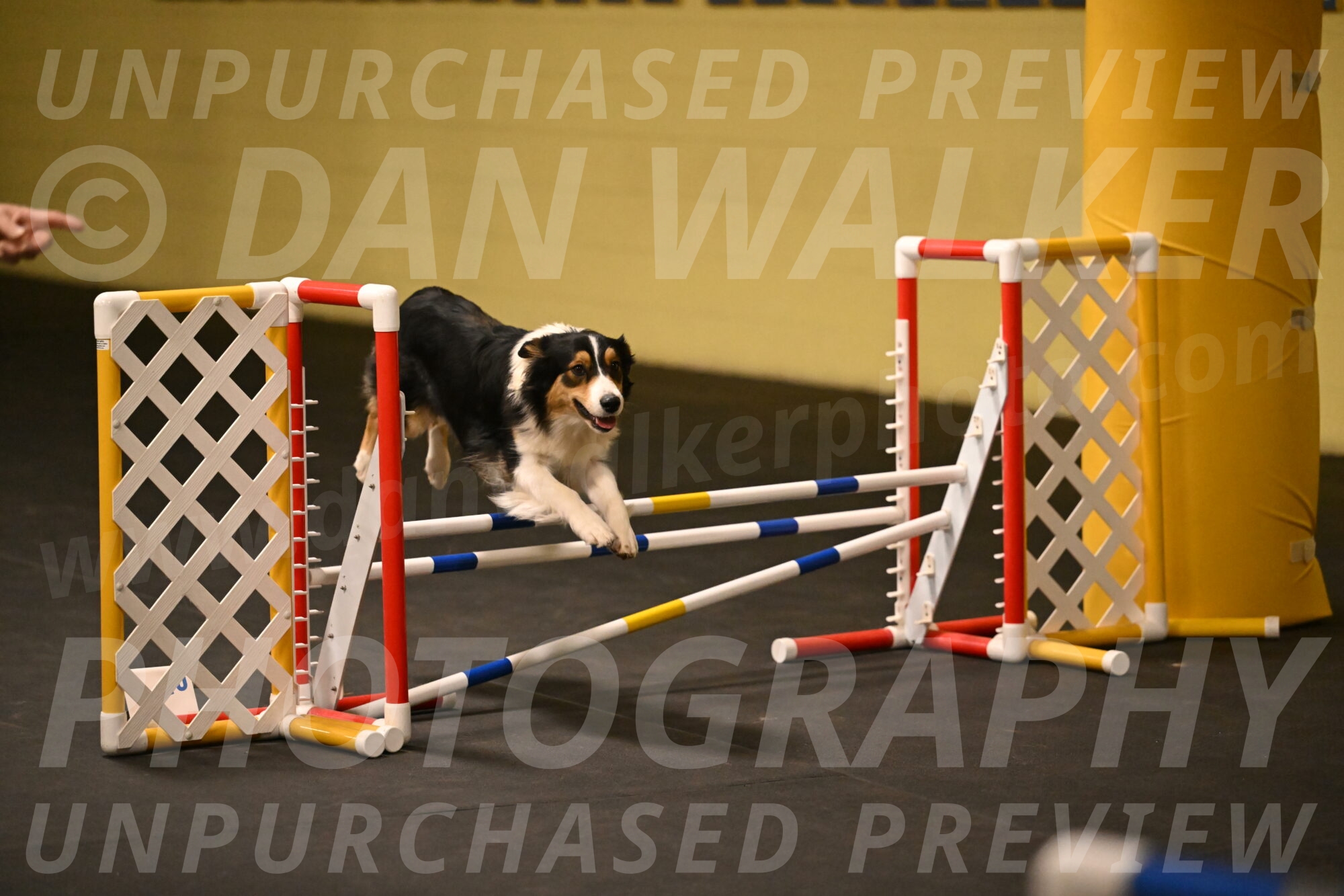 Lovey-Dovey-Shipman-09718