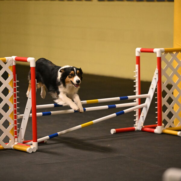 Lovey-Dovey-Shipman-09718