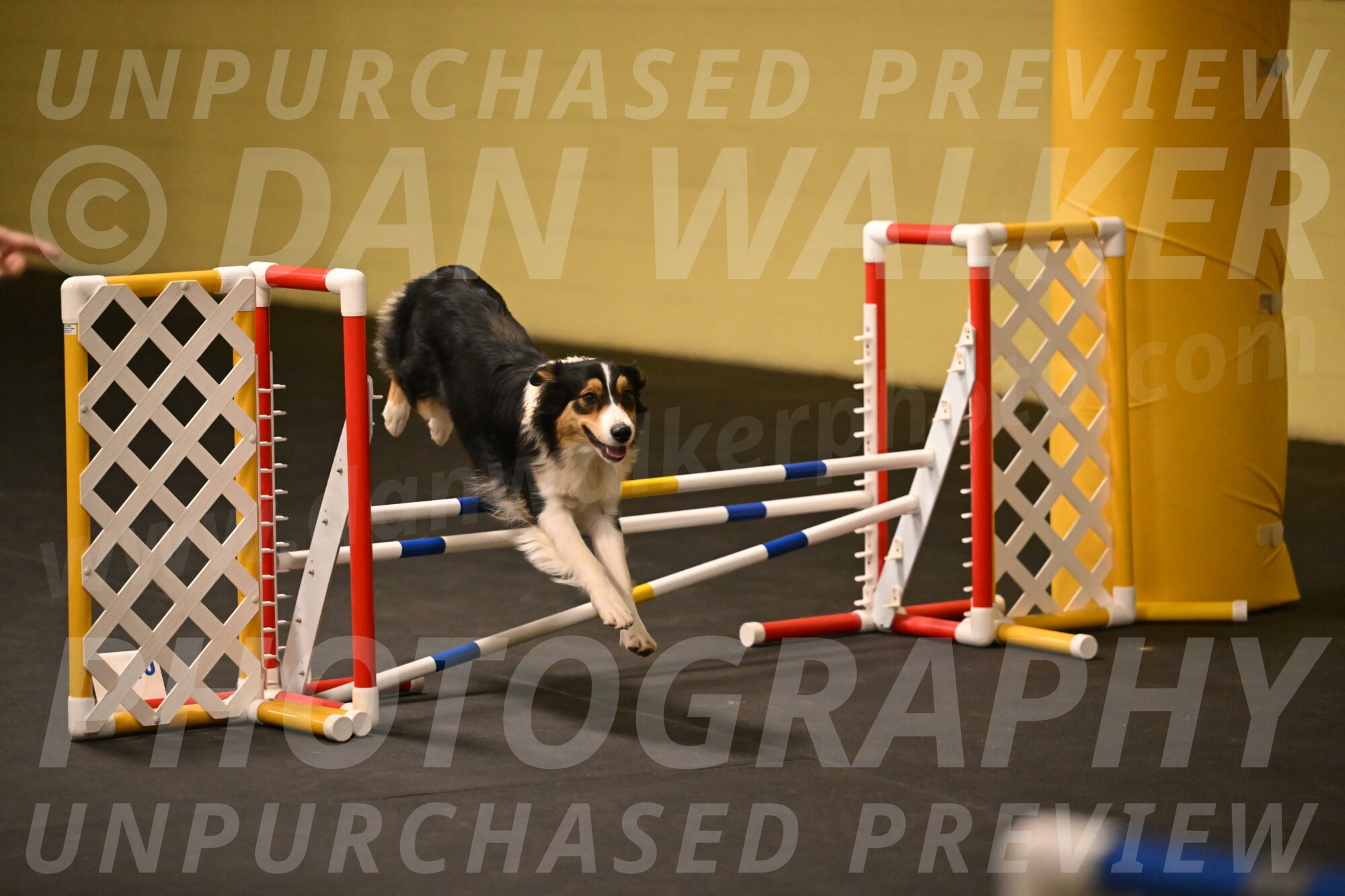 Lovey-Dovey-Shipman-09719