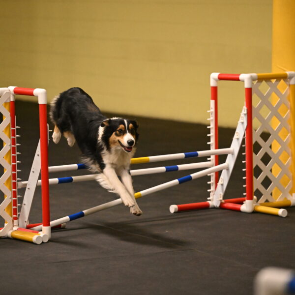 Lovey-Dovey-Shipman-09719