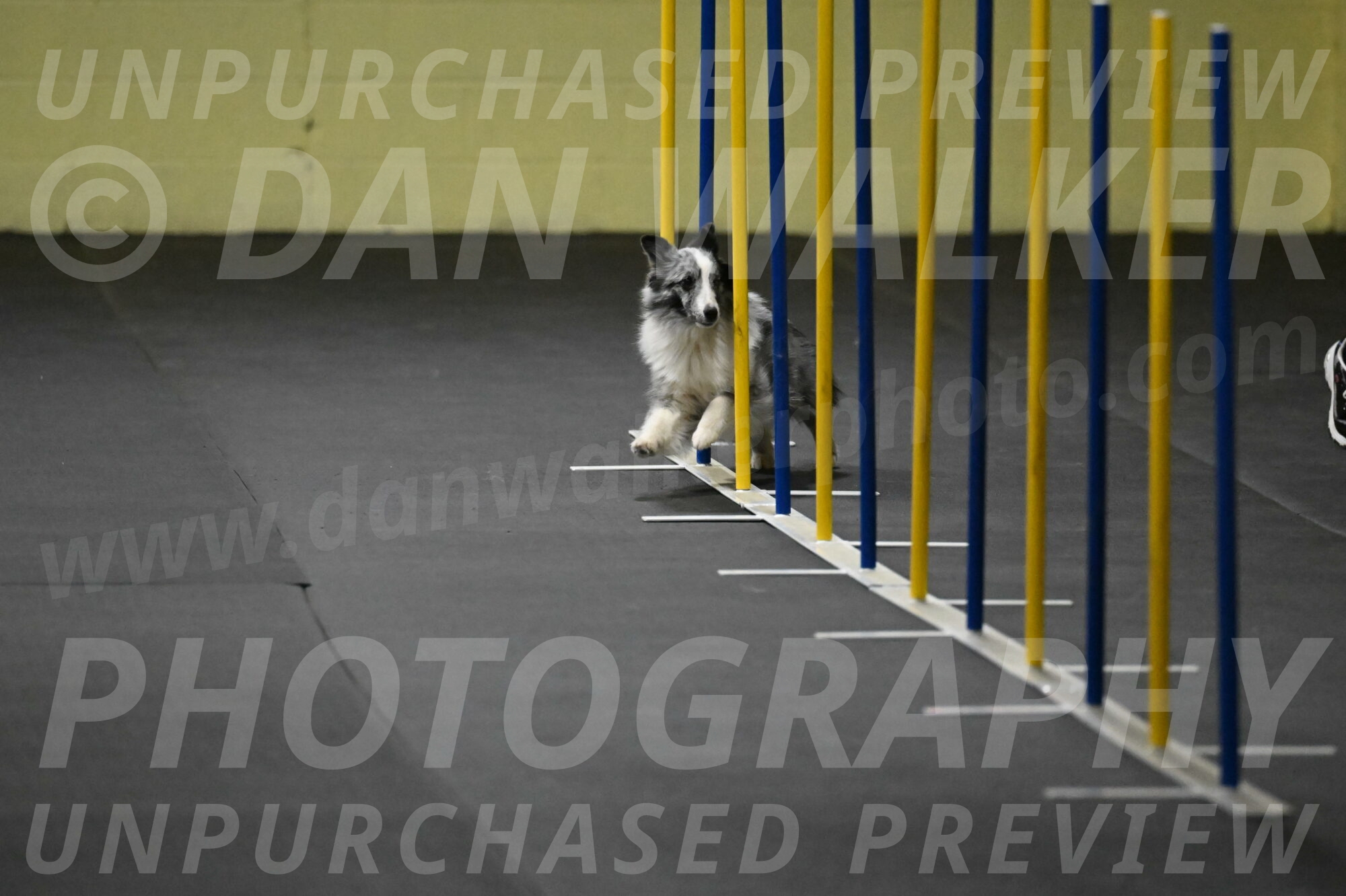 Minimo-Weinrich-00209