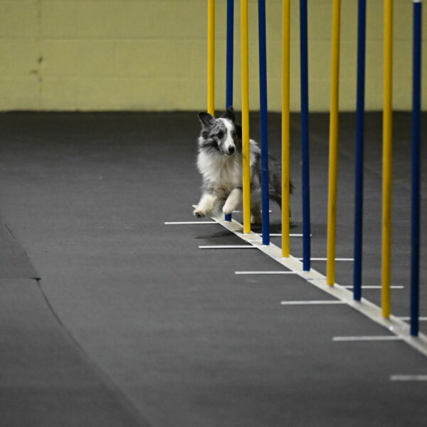 Minimo-Weinrich-00209