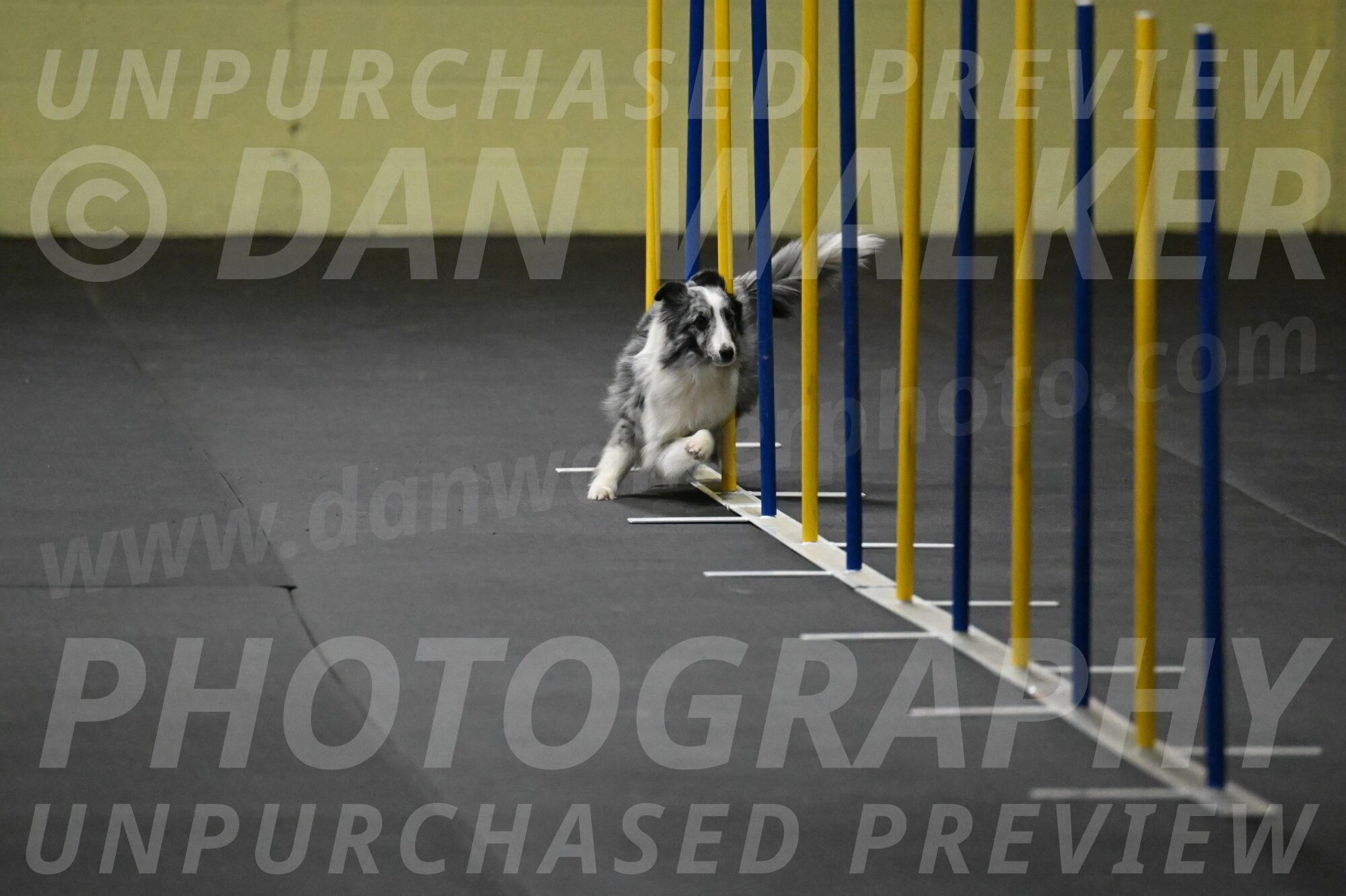 Minimo-Weinrich-00210