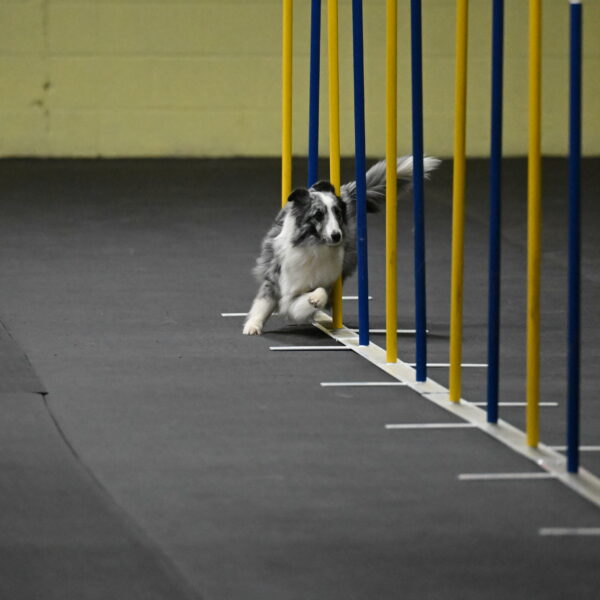 Minimo-Weinrich-00210