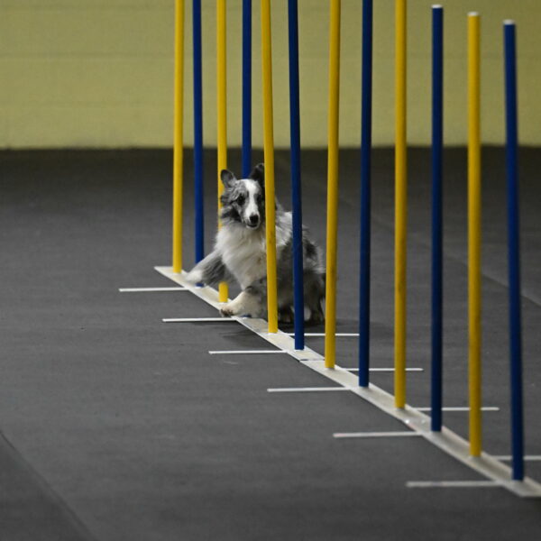 Minimo-Weinrich-00214