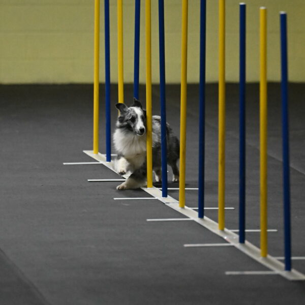 Minimo-Weinrich-00215