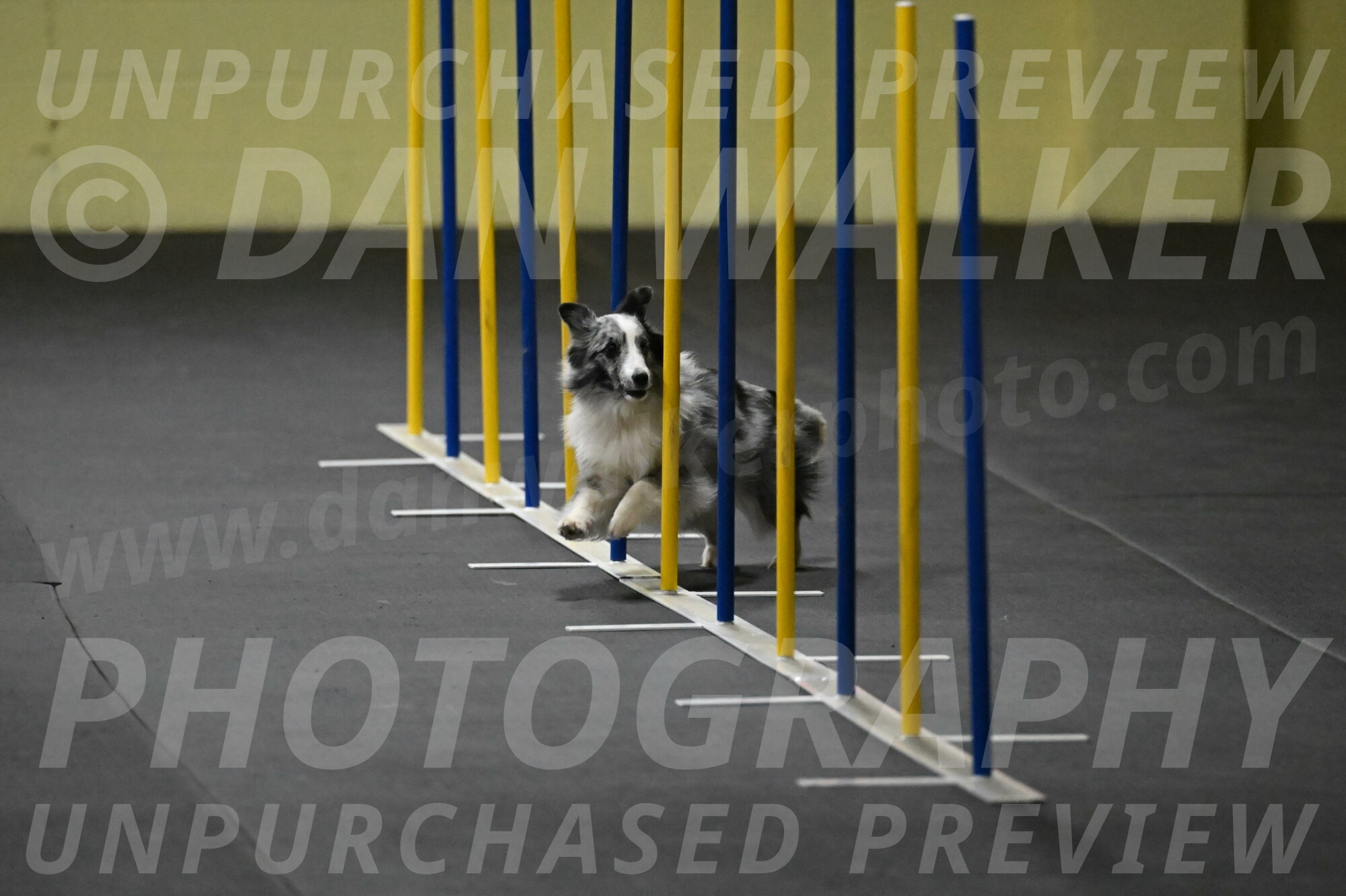 Minimo-Weinrich-00221