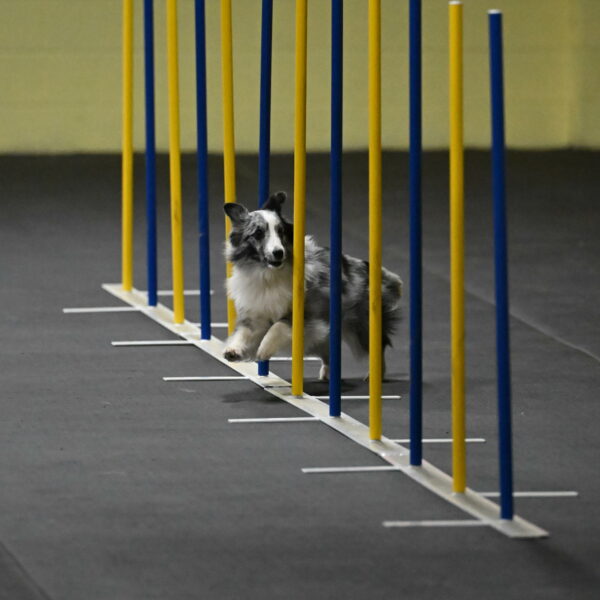 Minimo-Weinrich-00221