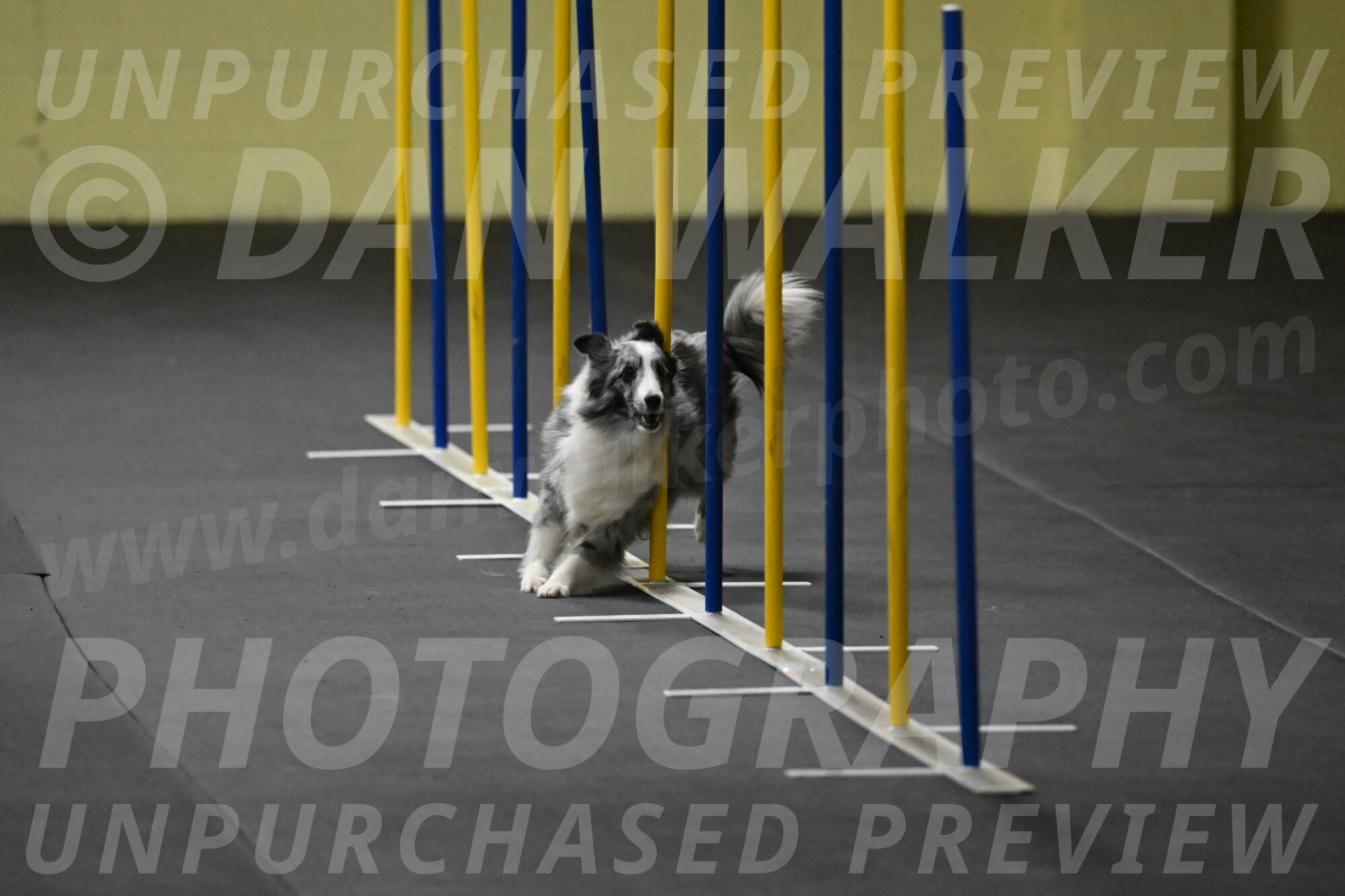 Minimo-Weinrich-00222