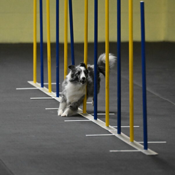 Minimo-Weinrich-00222