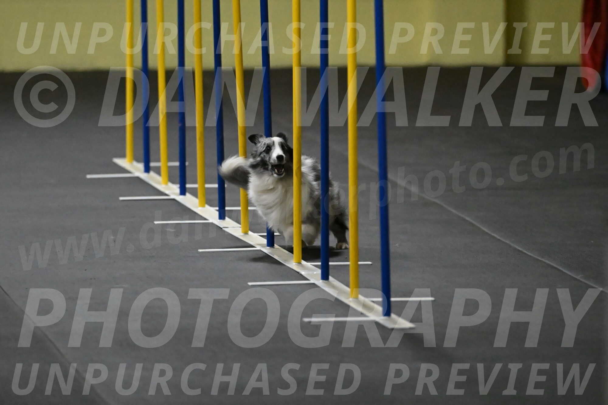 Minimo-Weinrich-00227