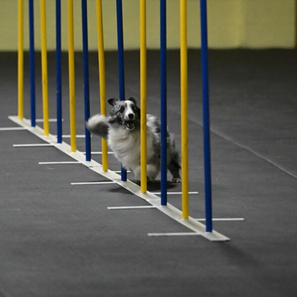 Minimo-Weinrich-00227