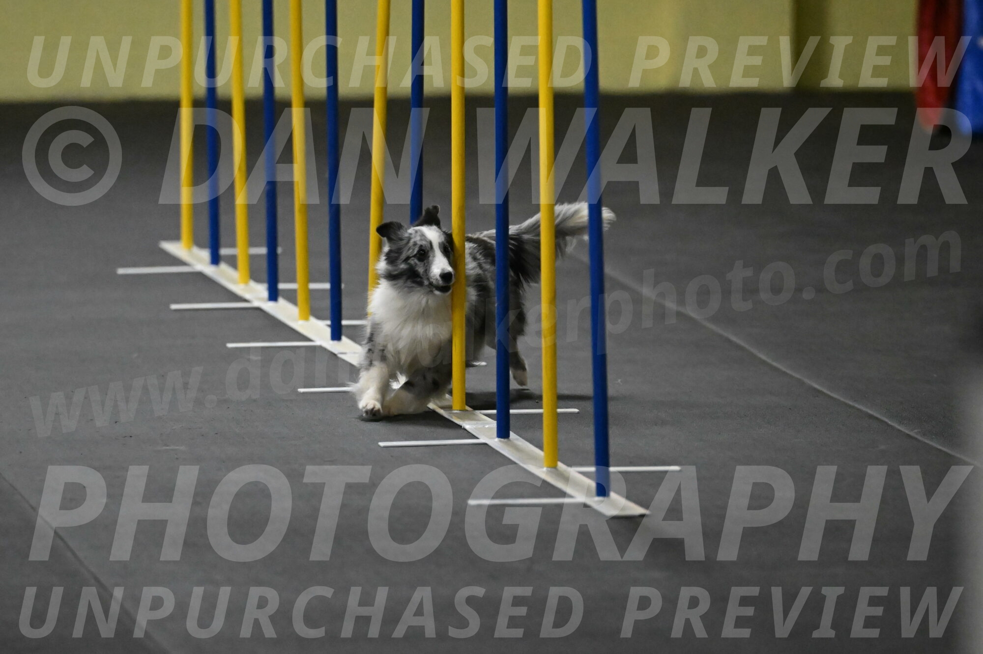 Minimo-Weinrich-00228