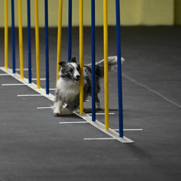 Minimo-Weinrich-00228