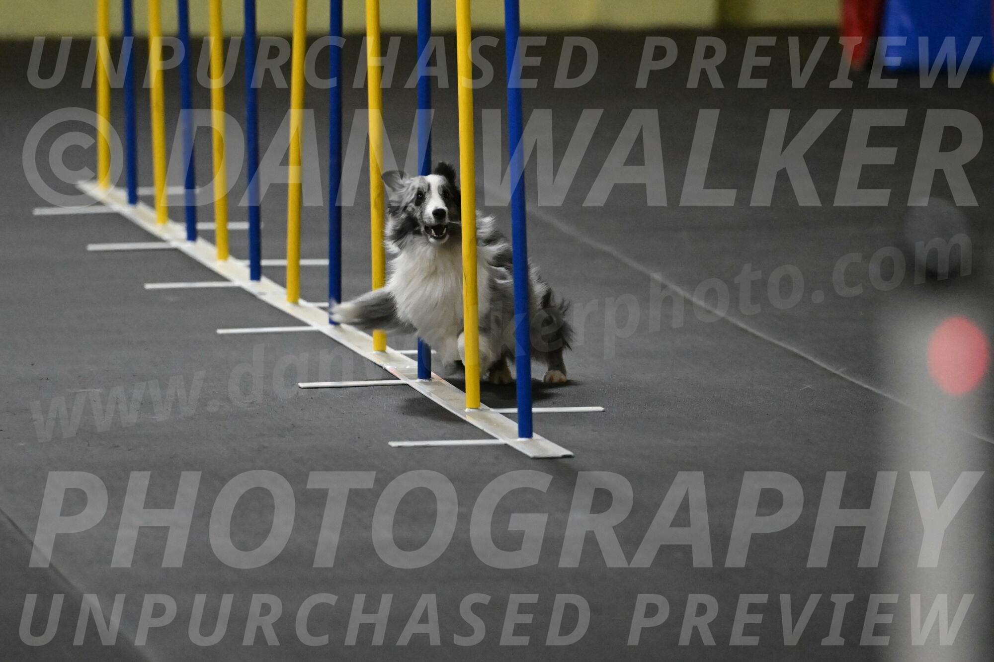 Minimo-Weinrich-00233