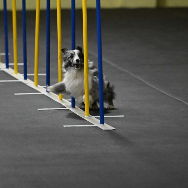 Minimo-Weinrich-00233