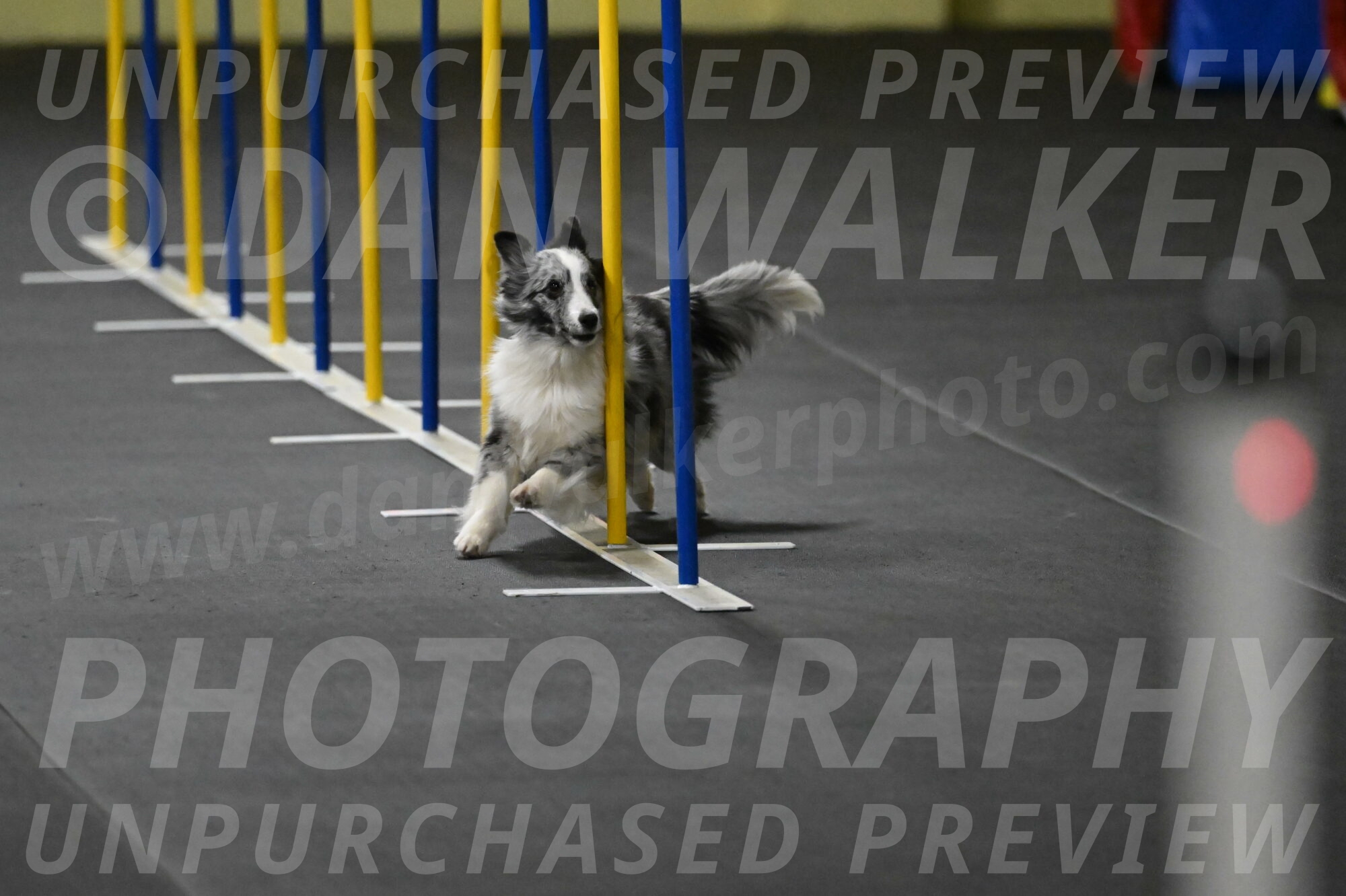 Minimo-Weinrich-00234