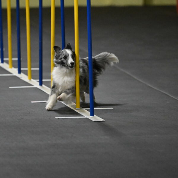 Minimo-Weinrich-00234