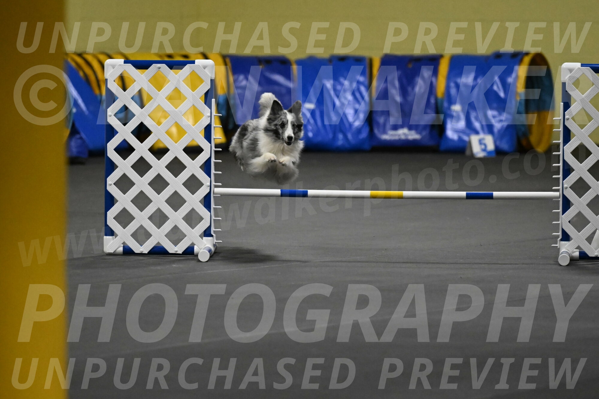 Minimo-Weinrich-00245