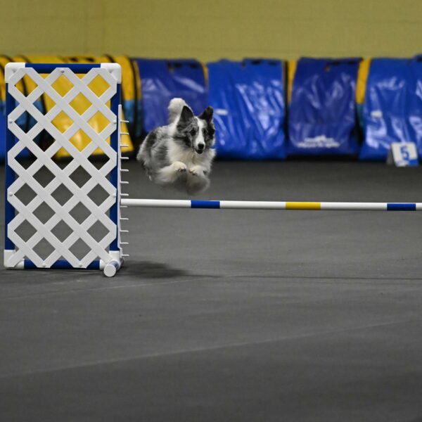 Minimo-Weinrich-00245