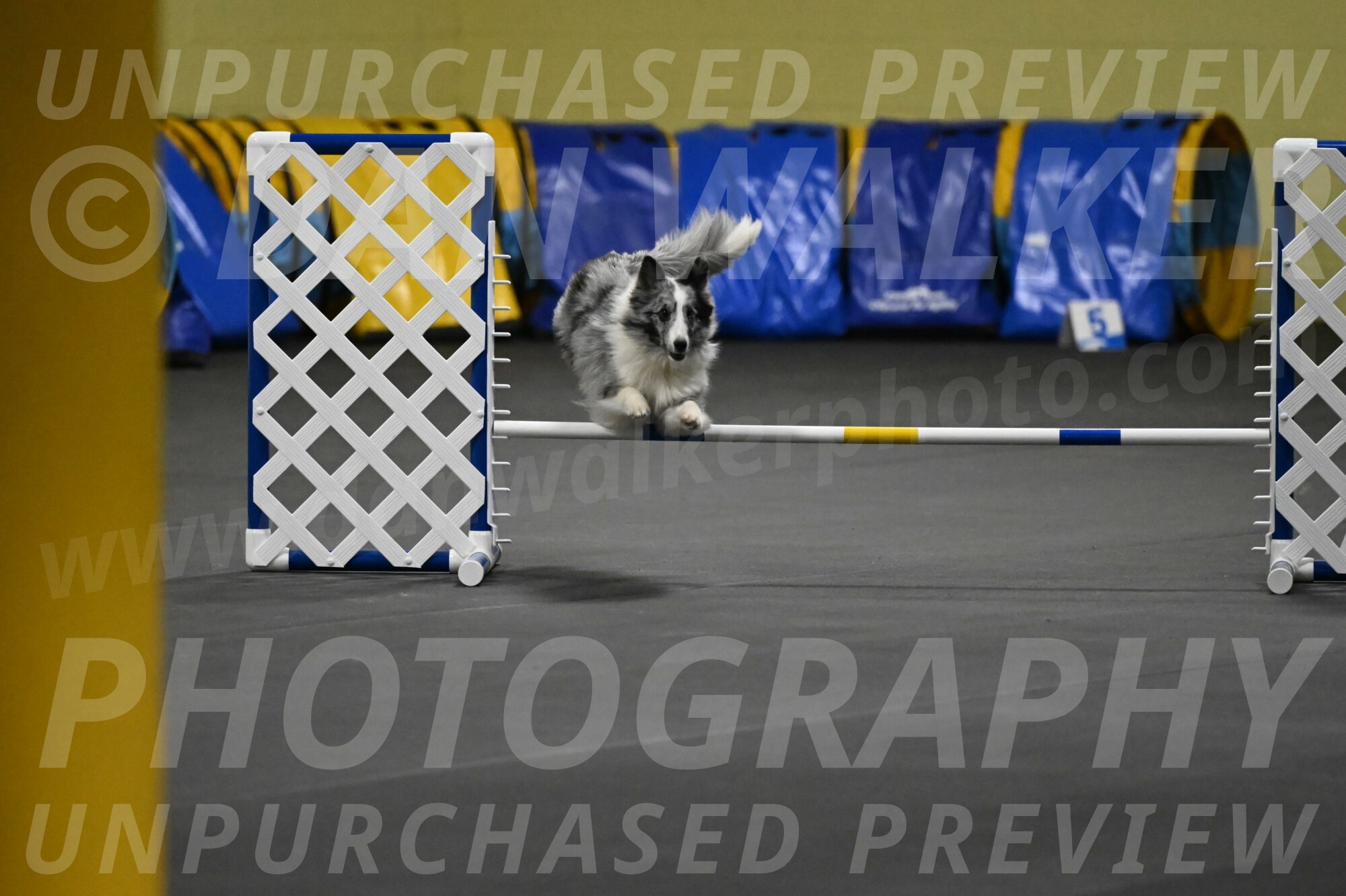 Minimo-Weinrich-00246