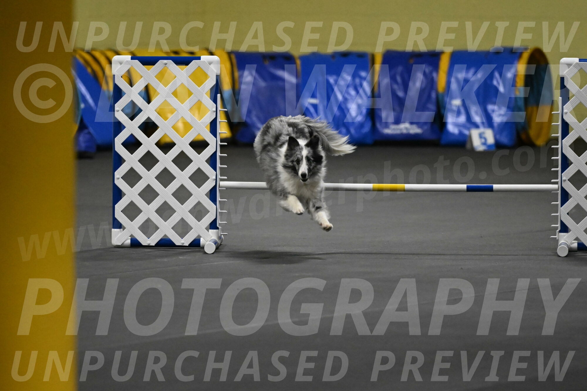 Minimo-Weinrich-00247