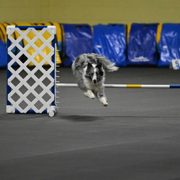 Minimo-Weinrich-00247