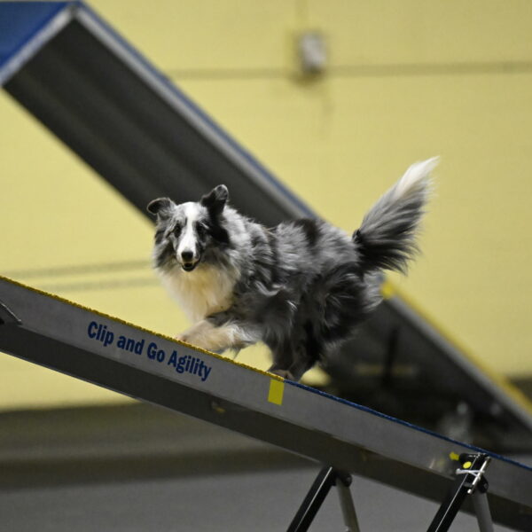 Minimo-Weinrich-00249