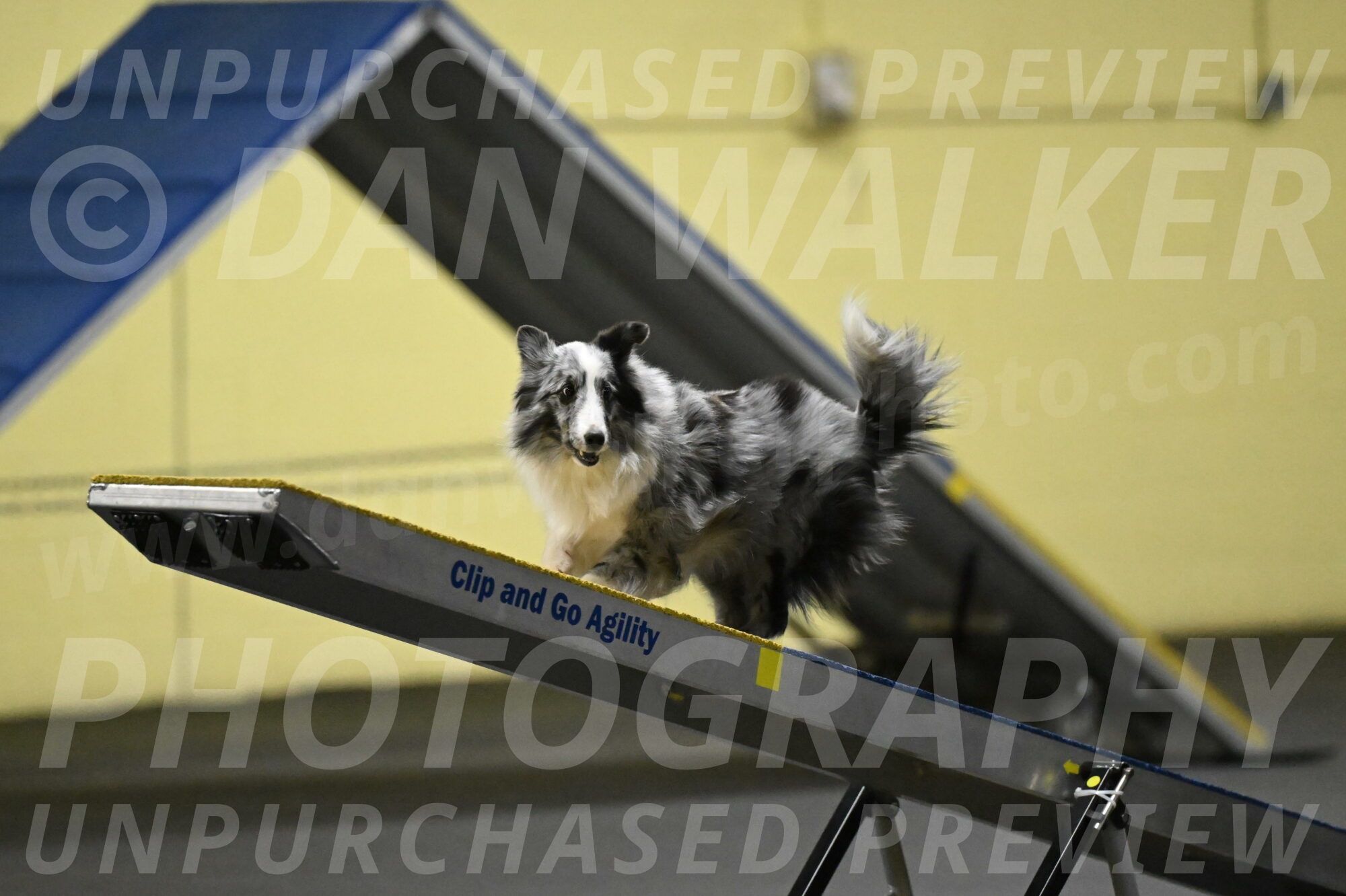 Minimo-Weinrich-00250