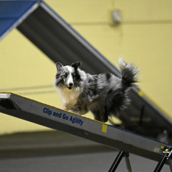 Minimo-Weinrich-00250