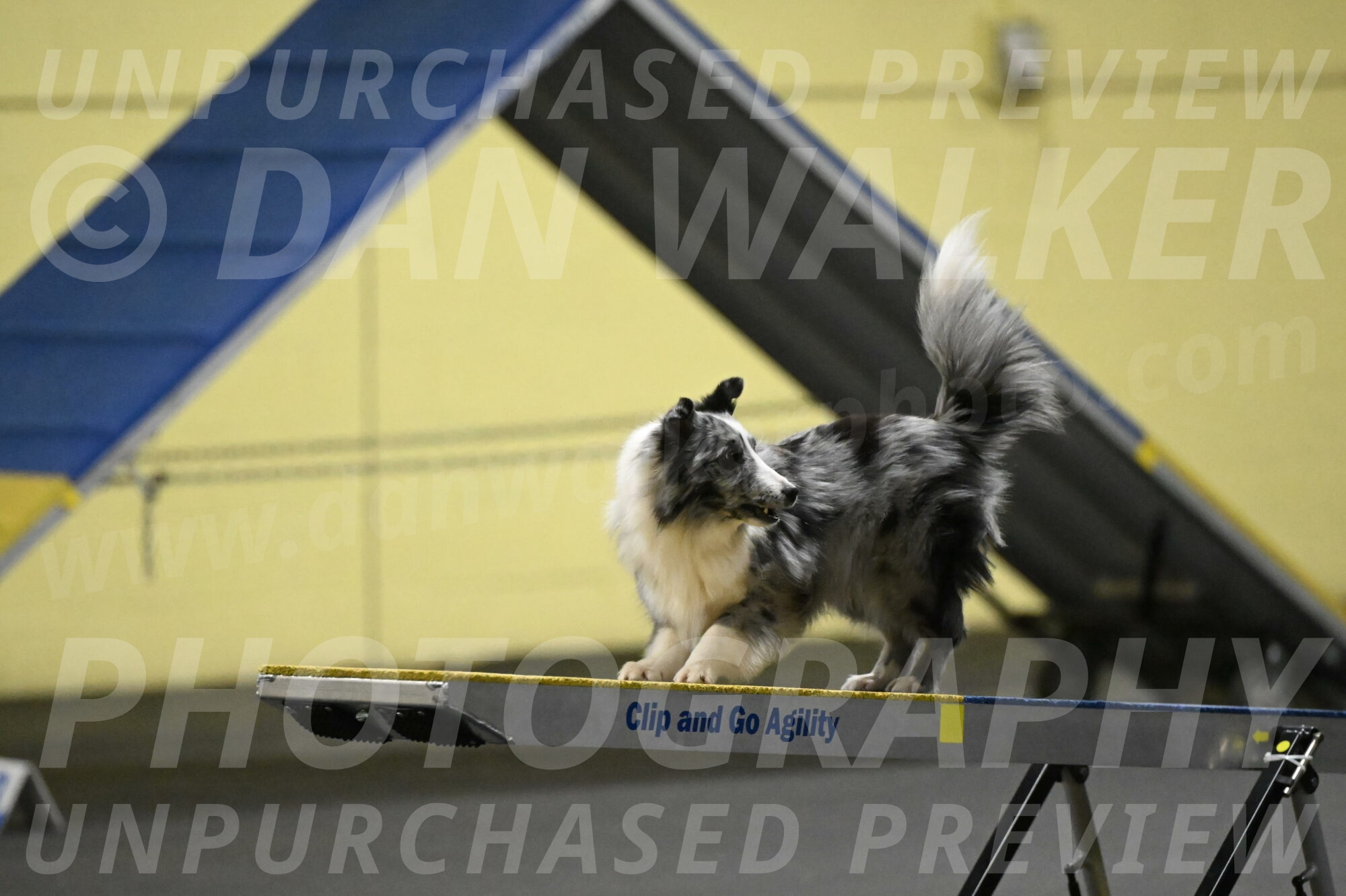 Minimo-Weinrich-00253