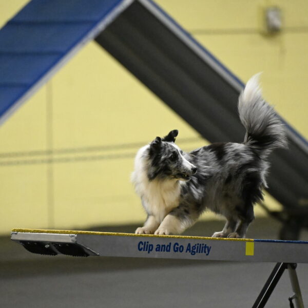 Minimo-Weinrich-00253