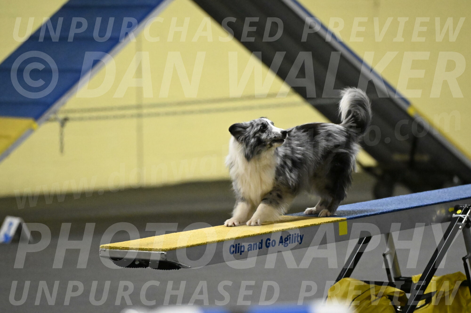 Minimo-Weinrich-00254