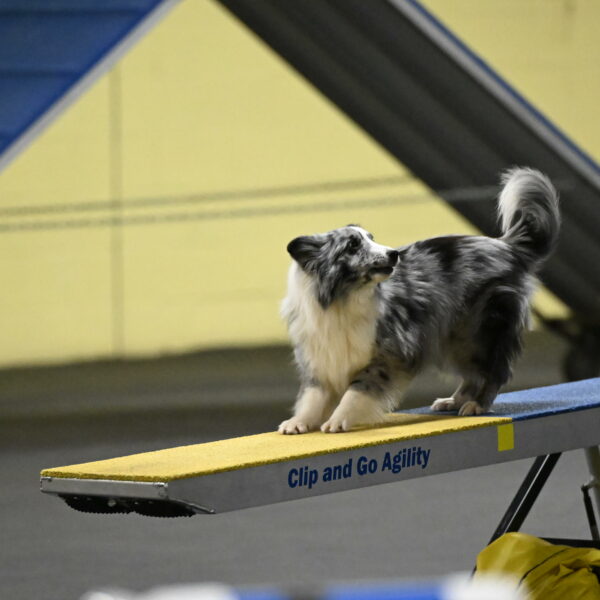 Minimo-Weinrich-00254