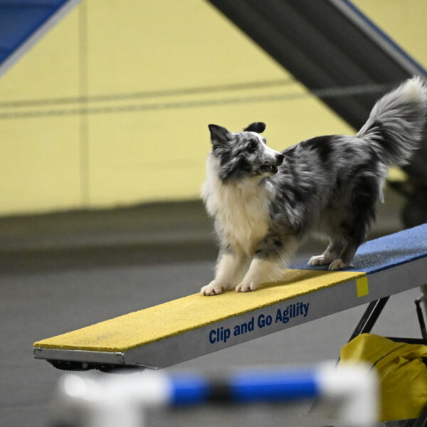 Minimo-Weinrich-00255