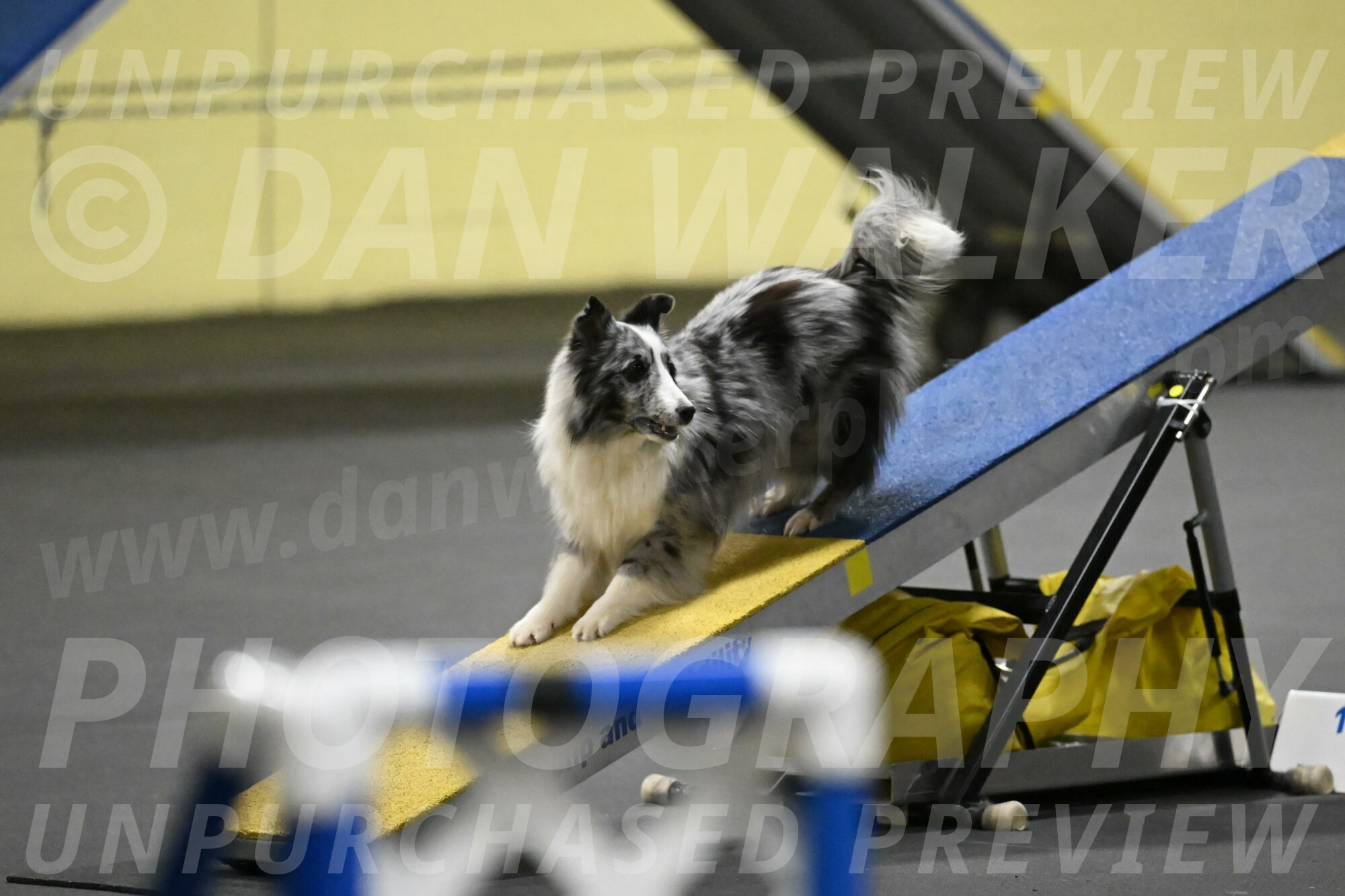 Minimo-Weinrich-00258