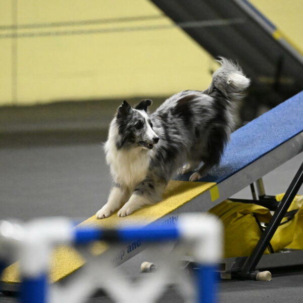 Minimo-Weinrich-00258