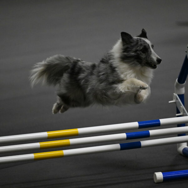 Minimo-Weinrich-00264