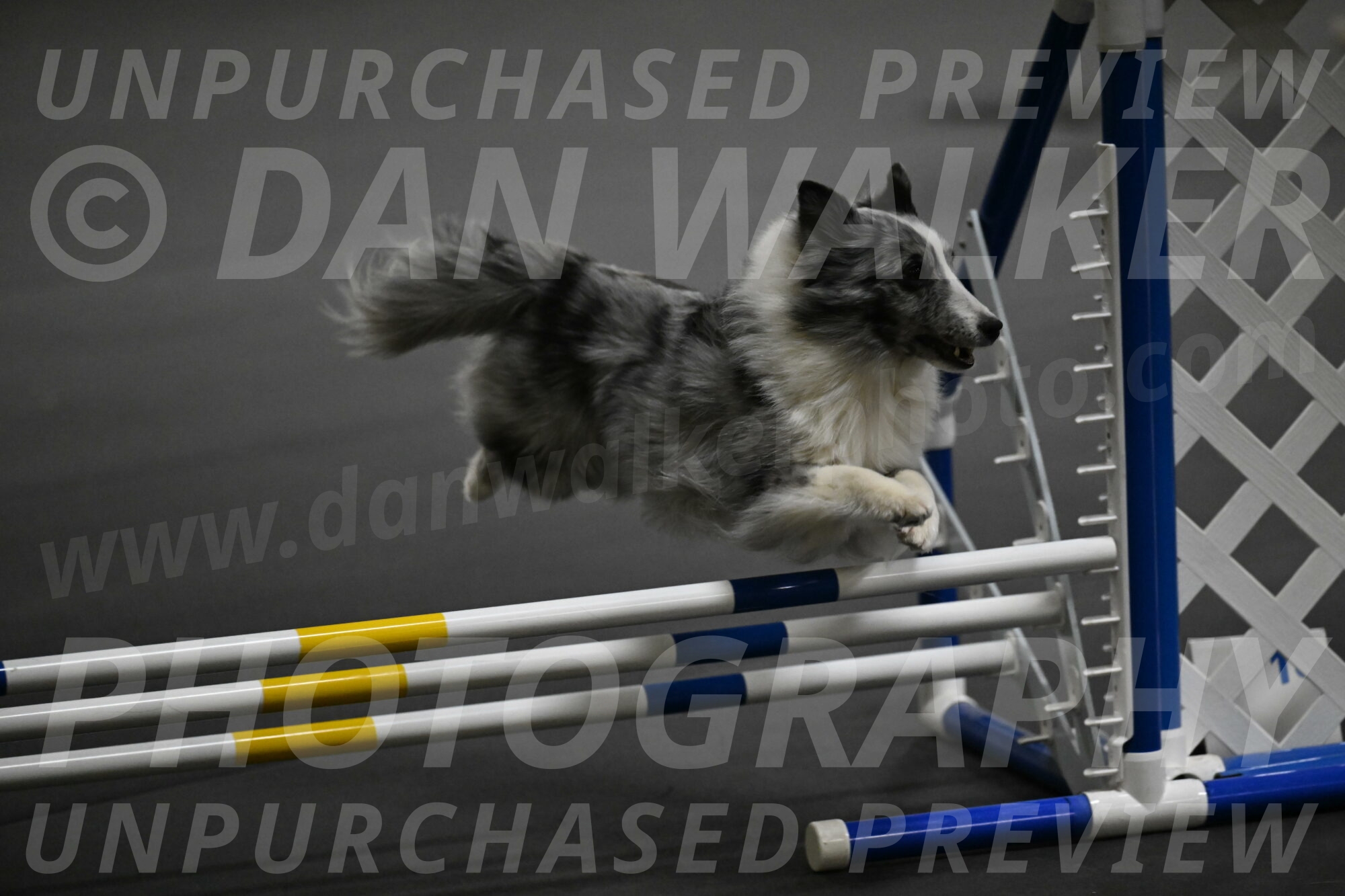 Minimo-Weinrich-00265